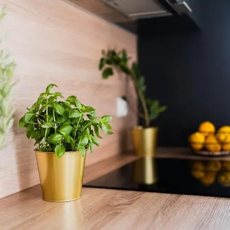 Center - 3 - New Building - Private Parking Place - Garage Apartmán *