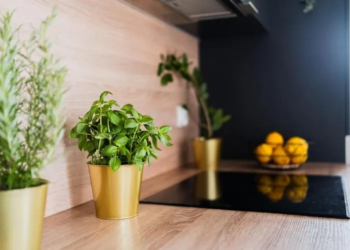 Center - 3 - New Building - Private Parking Place - Garage 아파트 *