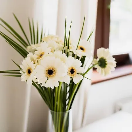 Center - 3 - New Building - Private Parking Place - Garage Apartment